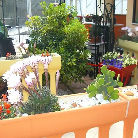 Bed & Breakfast Le Coccinelle Di Maria *